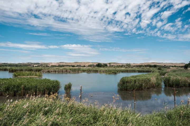 Vista de la Laguna de San Juan, reserva protegida de aves.