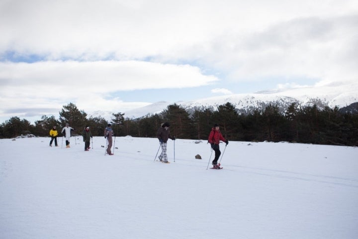 El claro del bosque deja al descubierto los picos de Guadarrama y la loma de Pandasco.