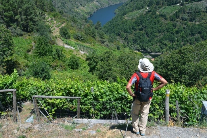 Ruta por el Cañón Mao (Ribeira Sacra): vistas desde San Lorenzo