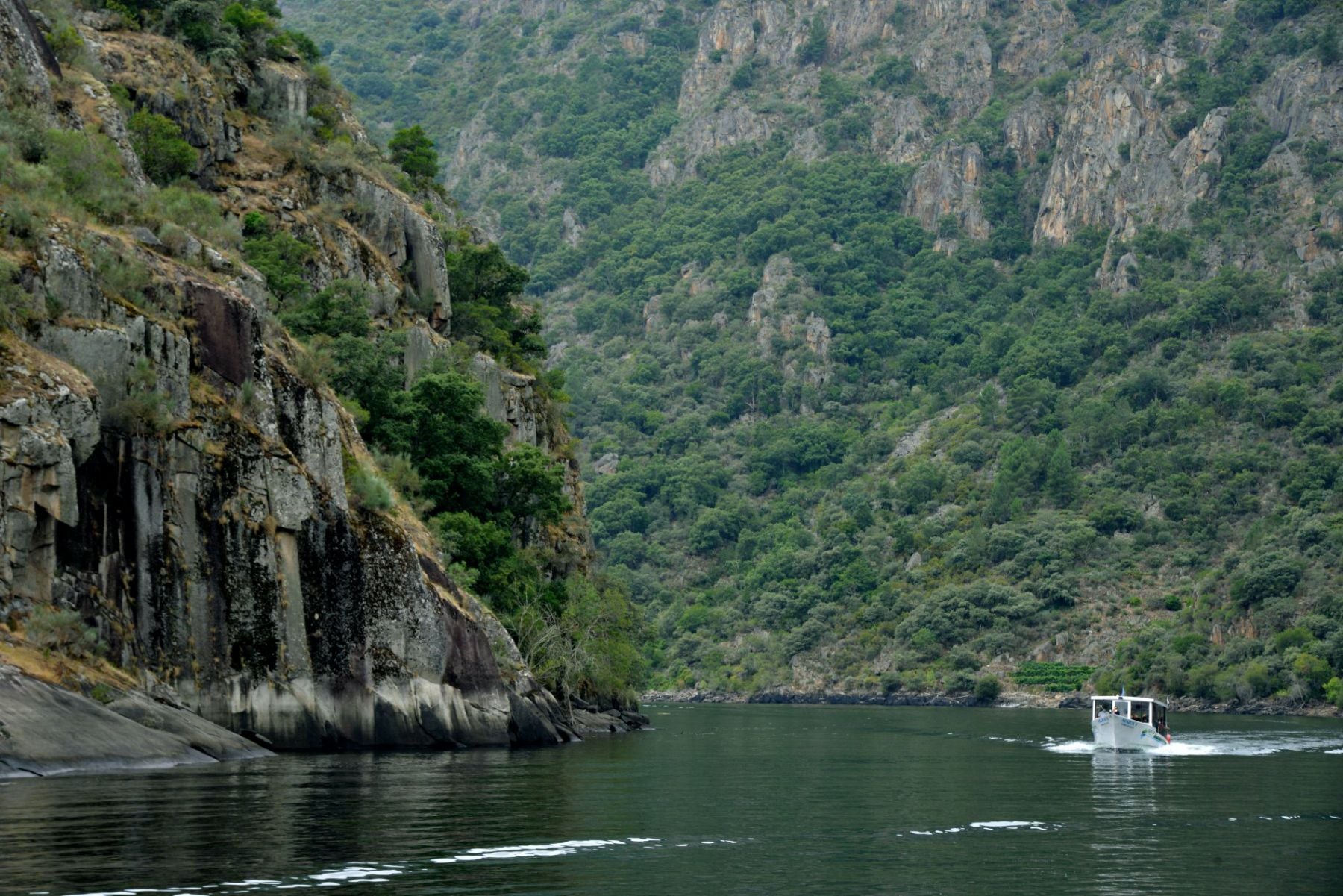 Ruta por el Cañón Mao (Ribeira Sacra): catamarán cruzando el río Sil