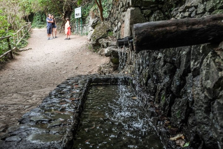 La Gomera: Chorros de Epina en el Parque Nacional de Garajonay. Foto: Hugo Palotto