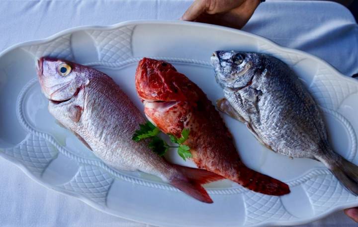 Asturias con los cinco sentidos: pescados frescos en el restaurante 'Sport' (Luarca)