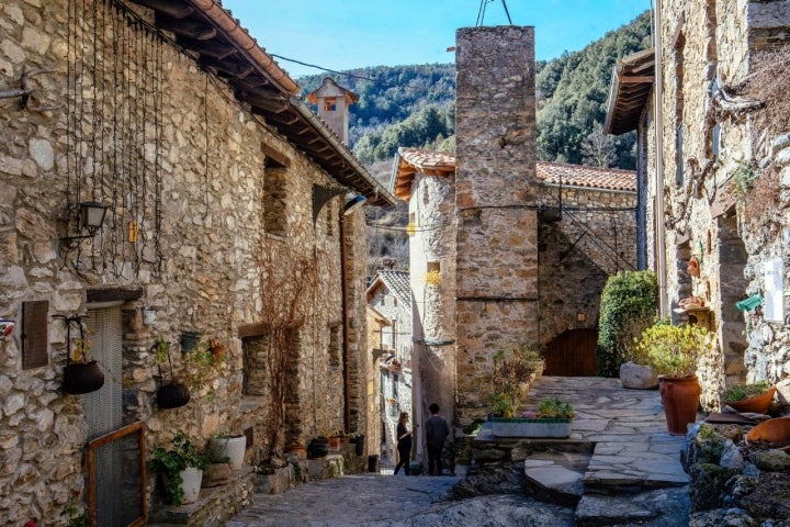 Festival de la Belleza Beget