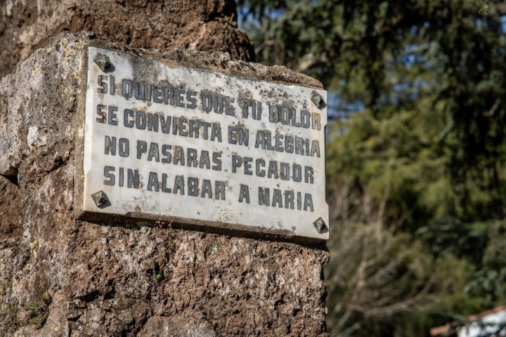 Peregrinación La Reina de los Ángeles