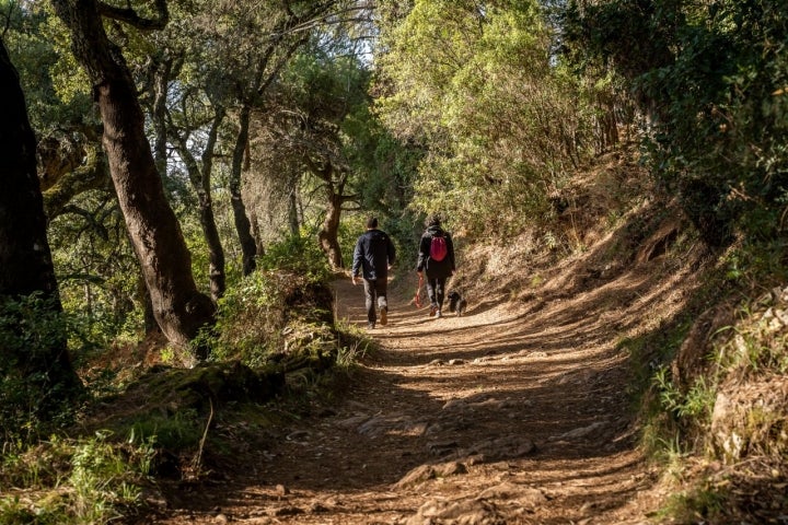 Sierra Alájar