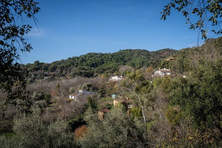 El Calabacino Sierra Aracena