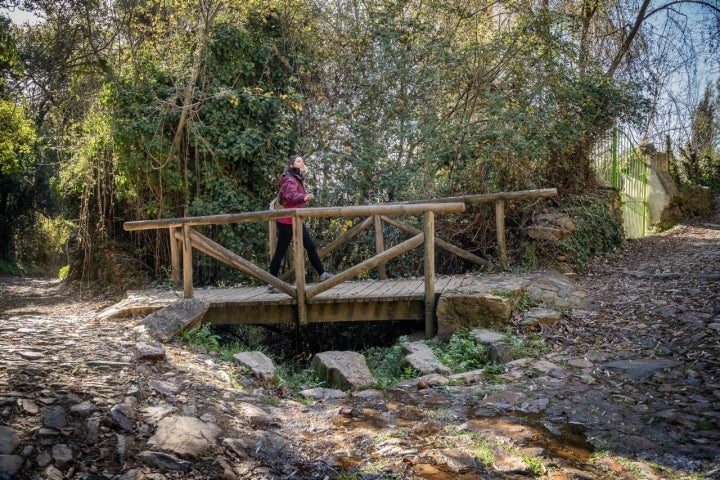 Arroyo Alájar