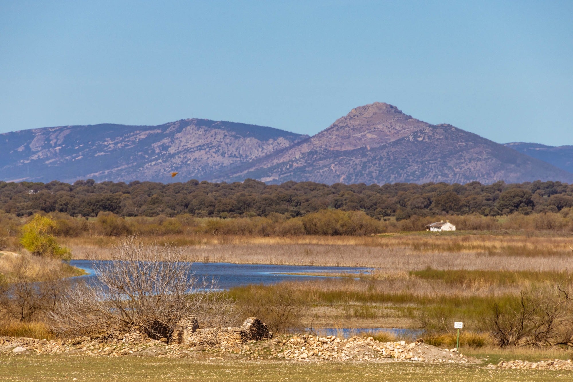 Cerro Malagón Tablas Daimiel