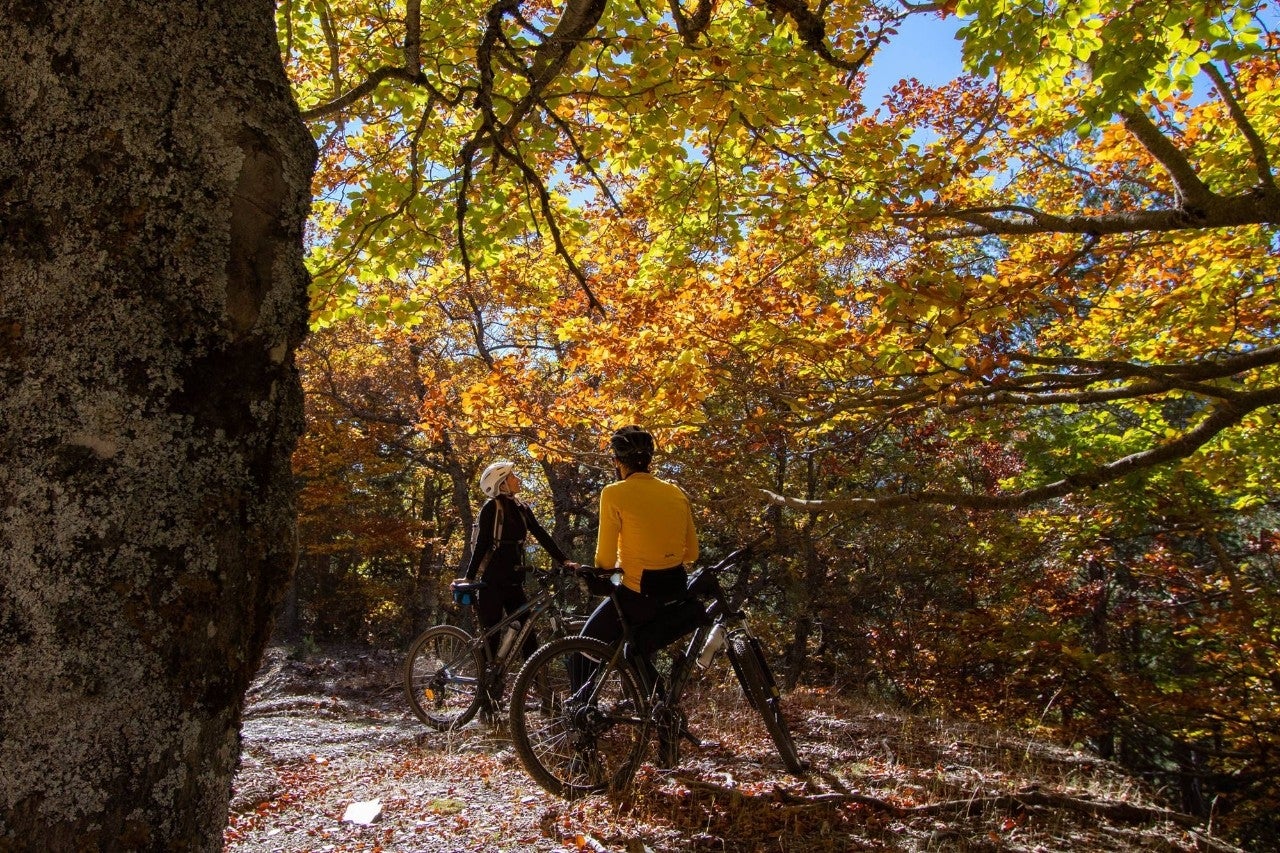 El Hayedo de Tejera Negra vive un estallido de color durante el otoño.