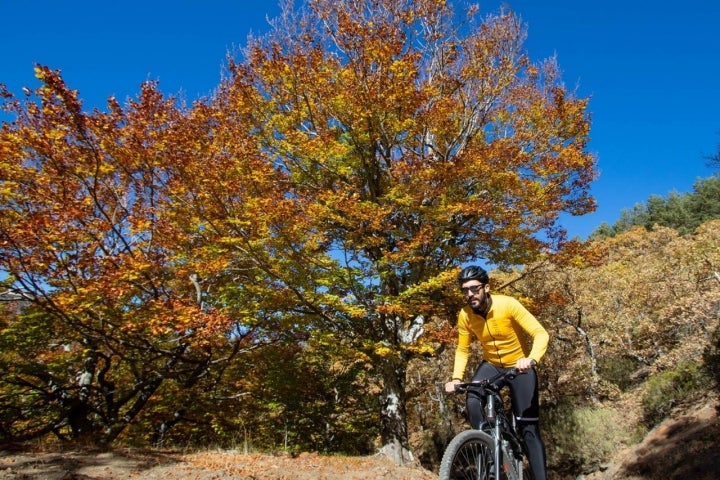 Bicicleta Hayedo de Tejera Negra