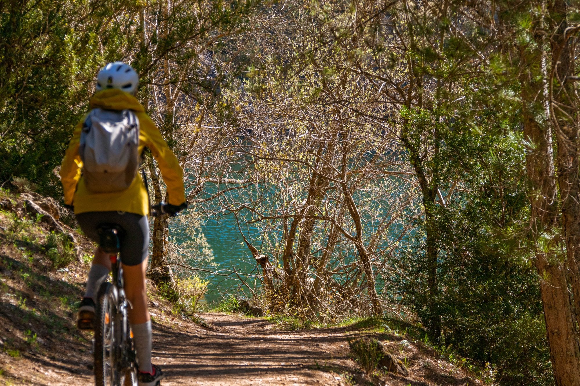 Parque Natural de las Sierras de Cazorla, Segura y Las Villas