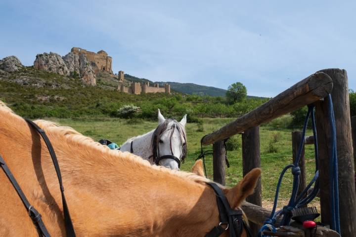 Castillo Loarre caballo