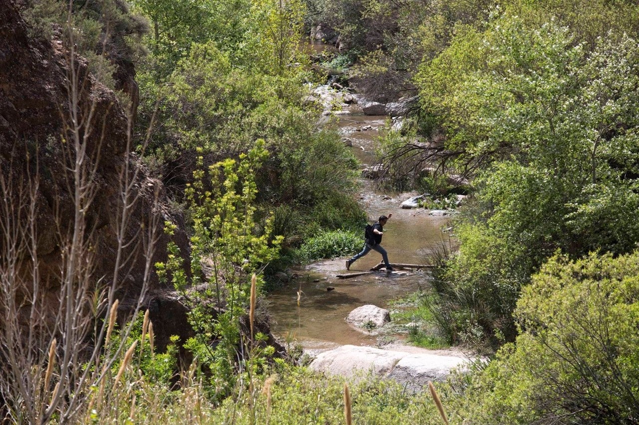 canales de padules