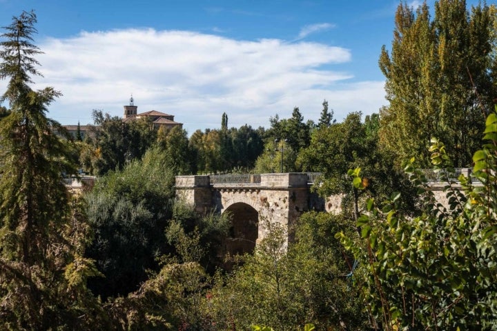 El puente sobre el río Carrión, siempre entre vegetación.
