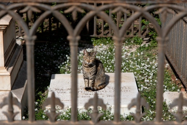 Cementerio Inglés Málaga