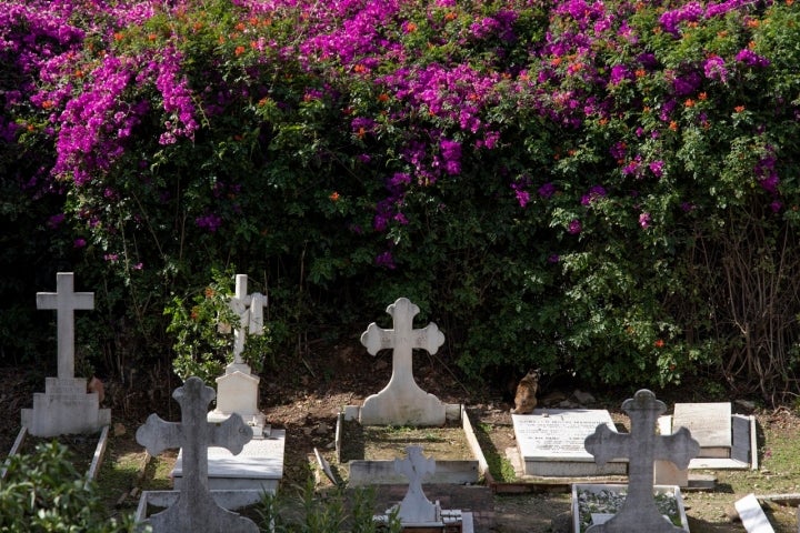 Cementerio Inglés Málaga