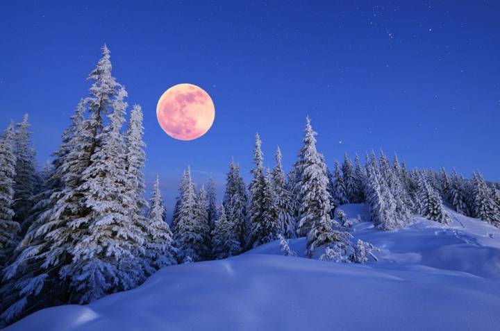 La Luna de las Nieves saldrá el 3 de marzo. Foto: Shutterstock.