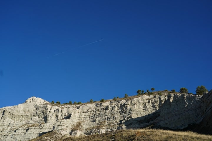 Cortados Cabezon Pisuerga