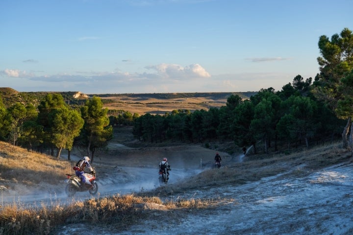 Cortados Cabezon Pisuerga