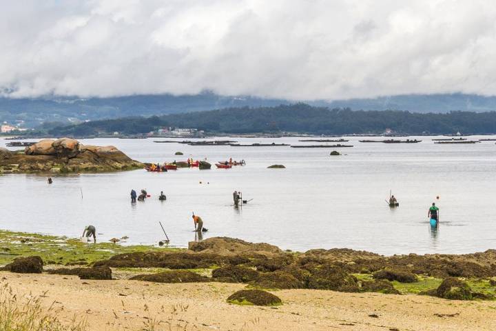 La pesca de mejillones es una de las actividades más representativas de Vilanova de Arousa. Foto: Shutterstock