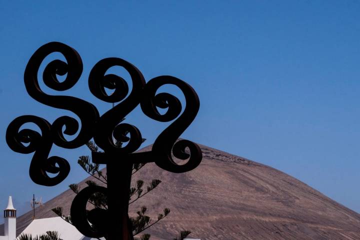 La Montaña Blanca aparece detrás del olivo que se ha convertido en símbolo de la Casa-Museo.