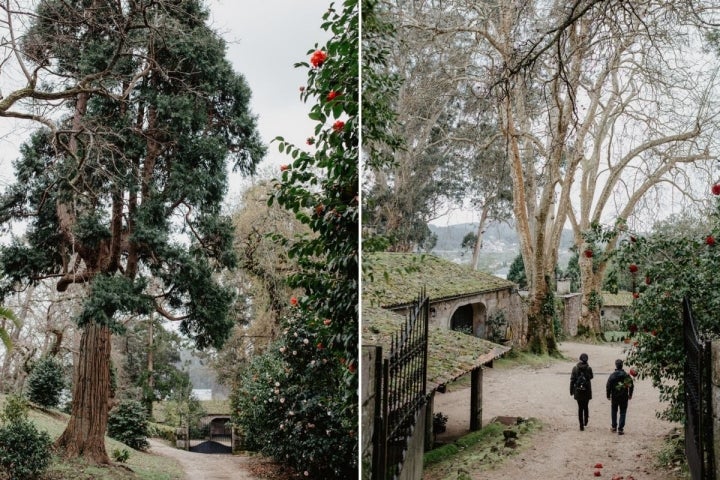 Paseando por el pazo de Rubianes. A la derecha, la bodega.