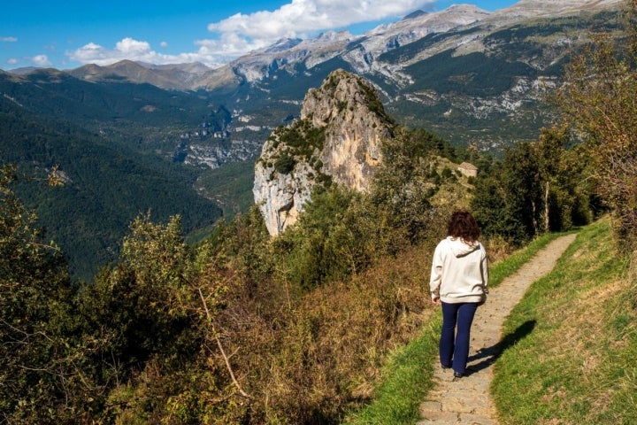 El camino alterna senderos muy despejados con otros pasos cubiertos por vegetación.