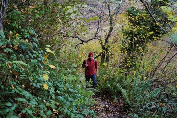 Las paredes pétreas se cambian por el musgo, el helecho y el liquen que camuflan el sendero.