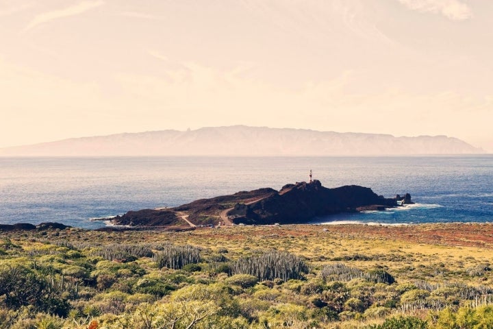 punta del teno