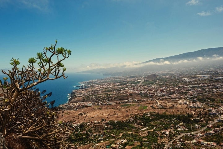 miradores tenerife