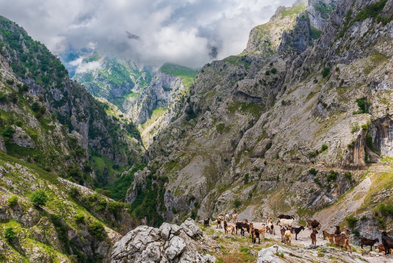 Gu a Completa De La Ruta Del Cares En Asturias Gu a Repsol