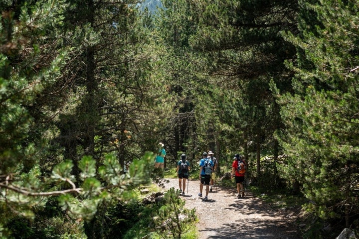 Senderistas por el bosque