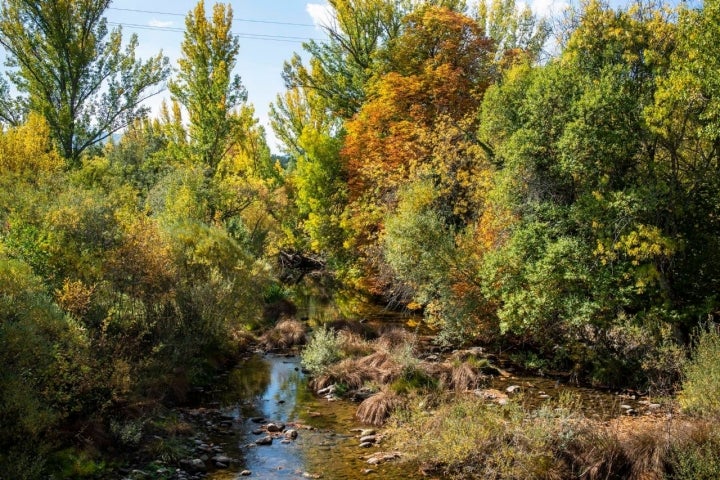 El otoño es una de las mejoras épocas para seguir el curso del Lozoya.