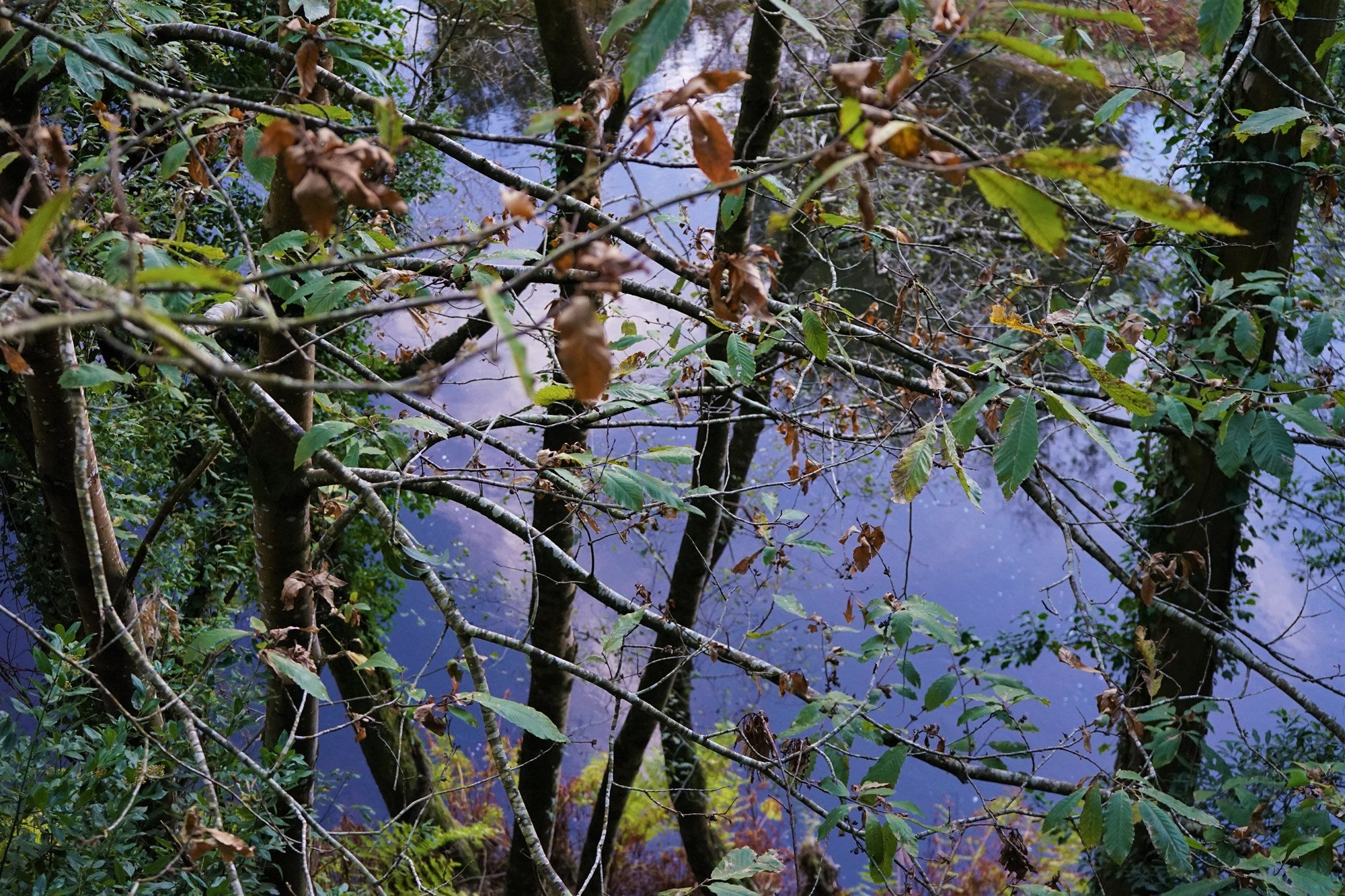 Vía Verde rio Eo