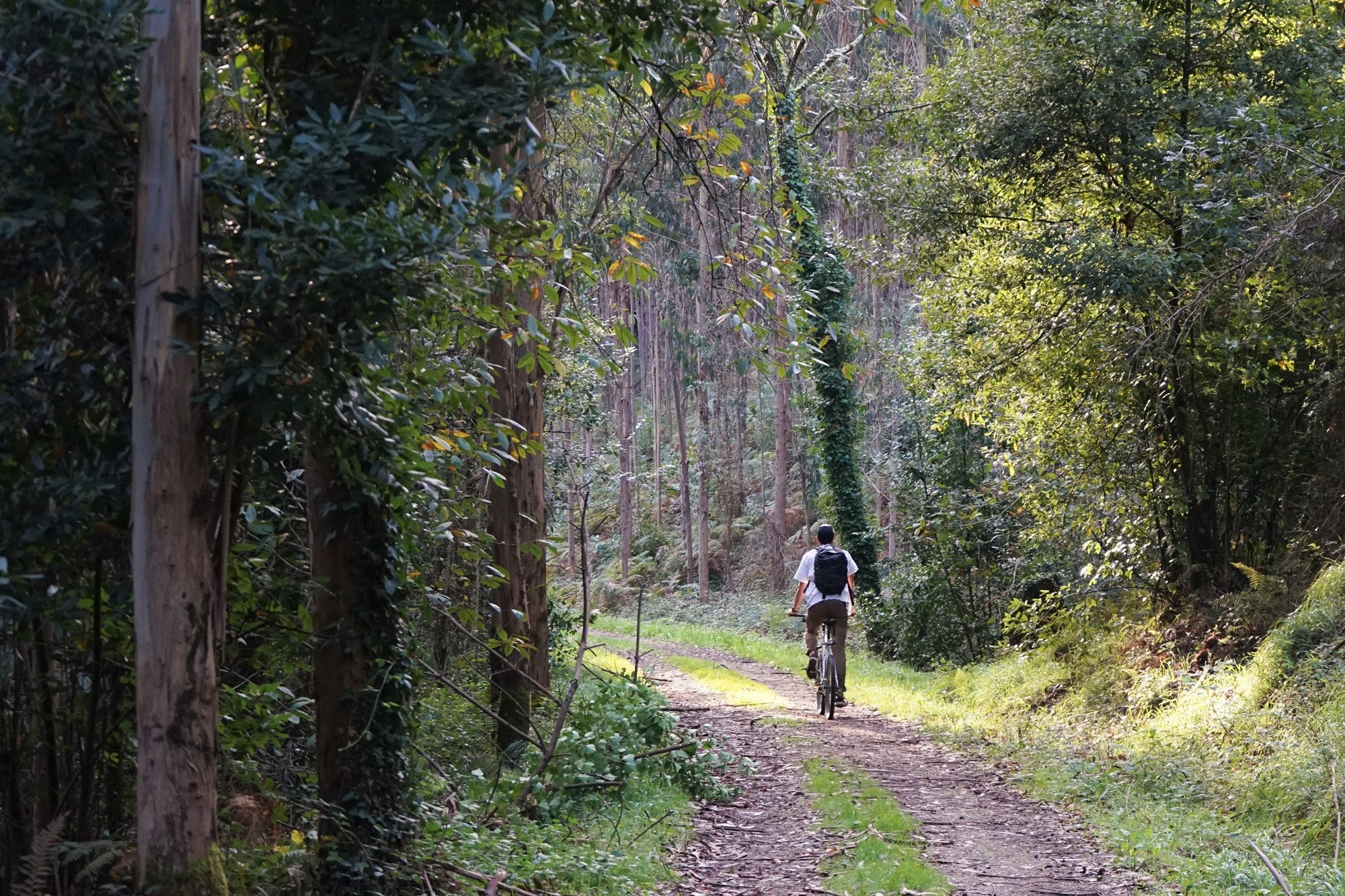 Vía Verde rio Eo