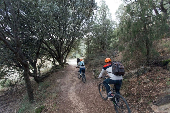 Ruta en bicicleta por el Barranco del Río Dulce (Guadalajara)