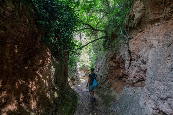 De camino a Los Chorradores, a veces las paredes superan nuestra altura.