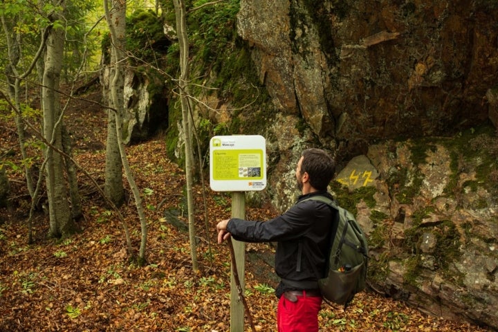 Ruta hayedo Peña Roya (Moncayo, Zgz) panel