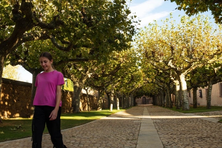 Ruta hayedo Peña Roya (Moncayo, Zgz) niña en Monasterio