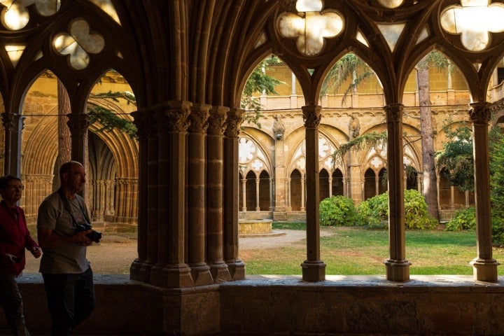 Ruta hayedo Peña Roya (Moncayo, Zgz) turista en claustro