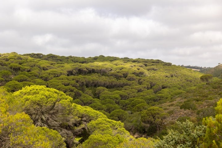 Parque Natural La Breña