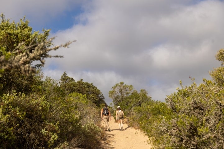 Ruta La Breña y Marismas Barbate (Cádiz) ruta