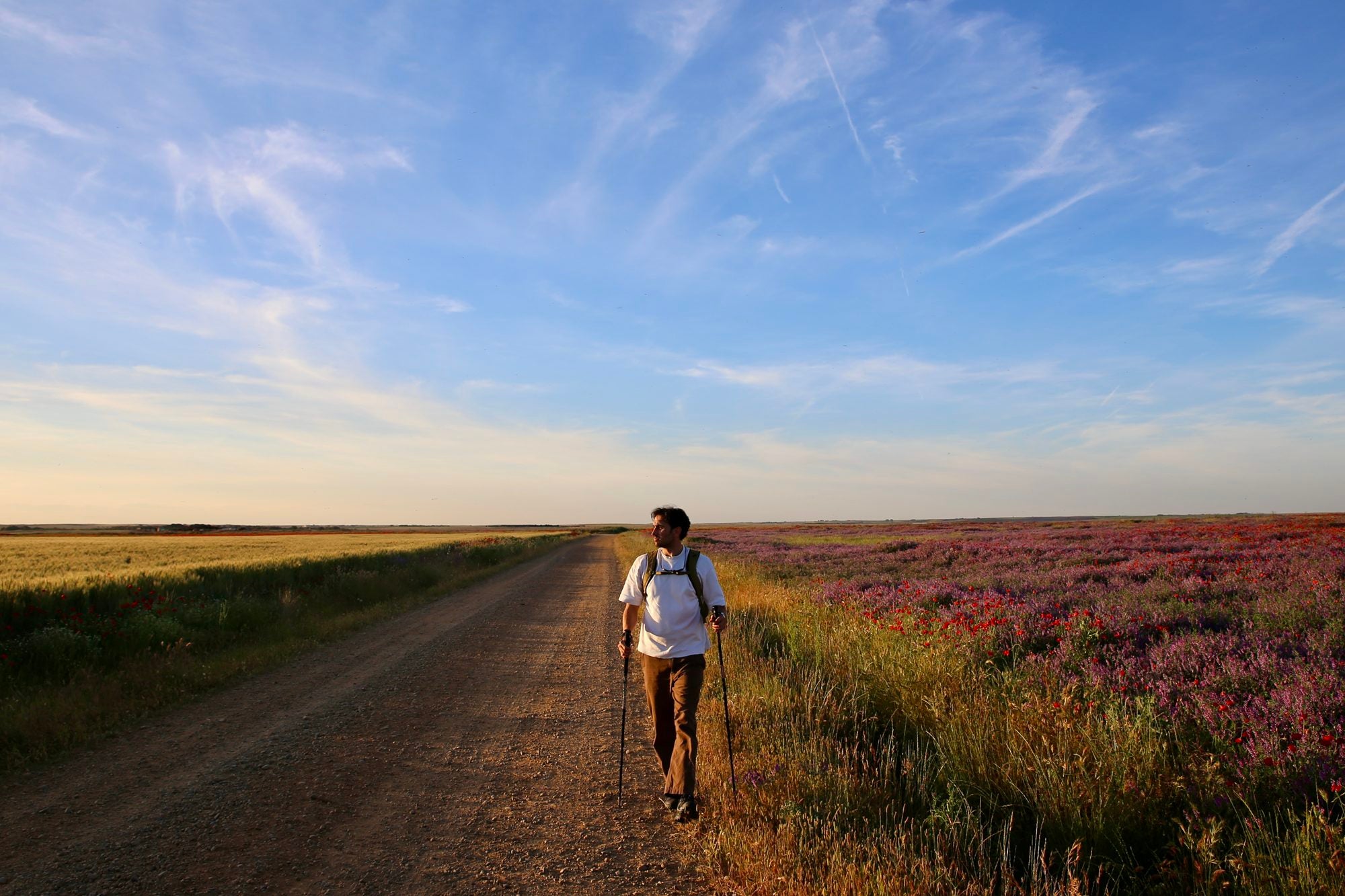 Ruta Lagunas Villafáfila camino