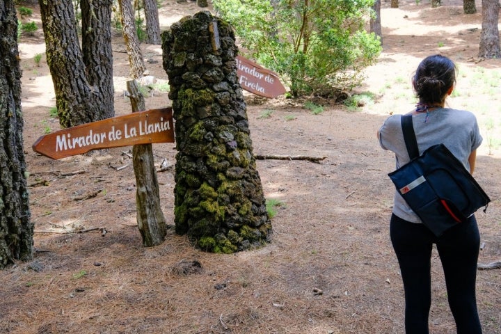 Ruta Senderista la Llania. Cruce de senderos