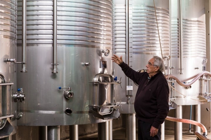 Bodegas Pegaláz proceso