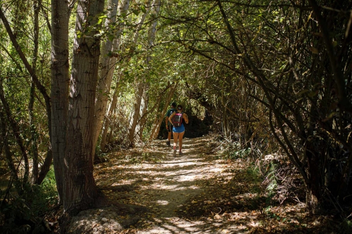La ruta es perfecta para pasear relajadamente y tomar contacto con la naturaleza.