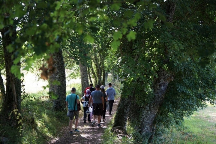 Turismo cueva Palomera