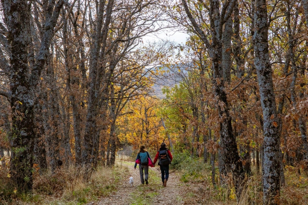 El mirador que se asoma al otoño de Riaza