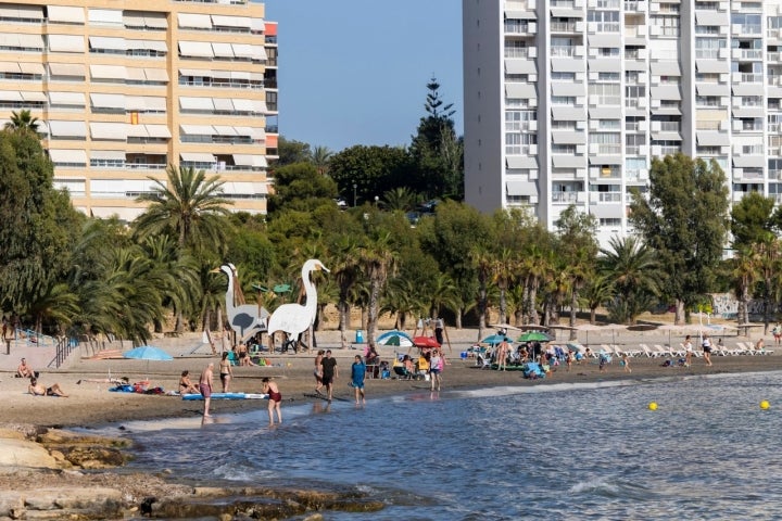 Ruta por el Cabo de Huertas (Alicante) Playa de Almadraba