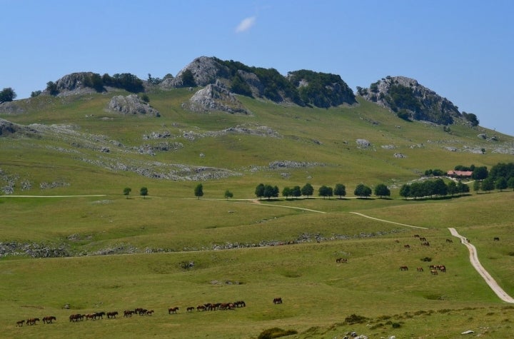 Las llanuras y los pastos del valle de Urbia, descendiendo de la sierra.